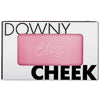 BBIA Last Blush 3.5g (Downy Cream Type)