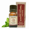 Botanic Story Peppermint Essential Oil Face Oil 10ml