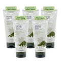 The Face Shop Herb Day 365 Cleansing Foam Mung Bean 170ml