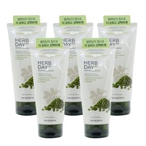 The Face Shop Herb Day 365 Cleansing Foam Mung Bean 170ml