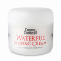 Jamin Gyeong Crema Caracol Waterful Sleeping Cream 60ml