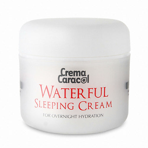 Jamin Gyeong Crema Caracol Waterful Sleeping Cream 60ml